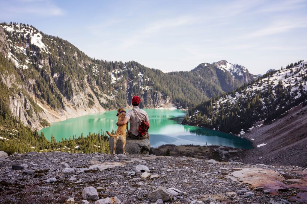 Wenn der Vierbeiner Urlaub macht – Tipps für stressfreies Reisen mit Hund in den Alpen