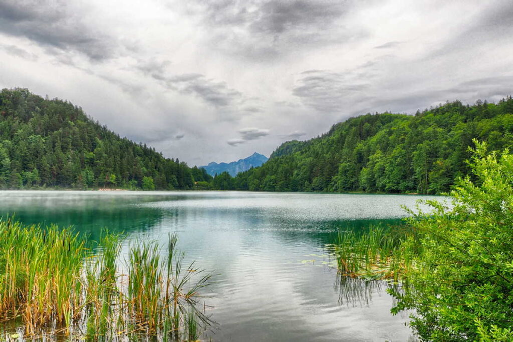 Alatsee