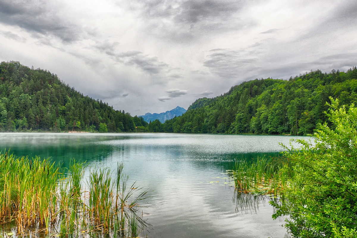 Alatsee