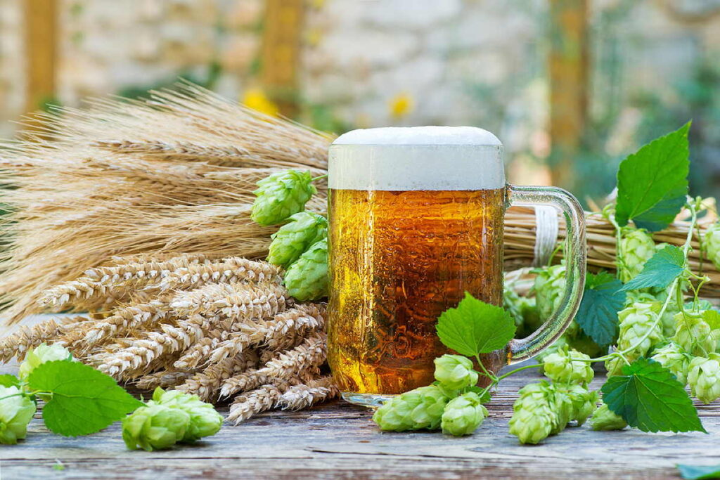 Brauereien & Bierkultur im Allgäu – Ein Genussführer
